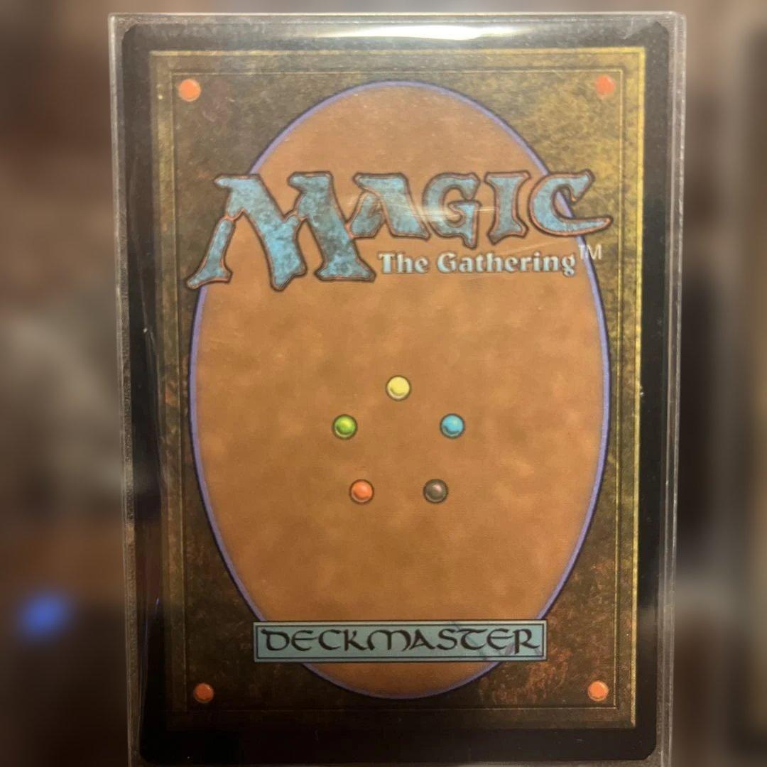 サイン入り Forest 基本土地カード