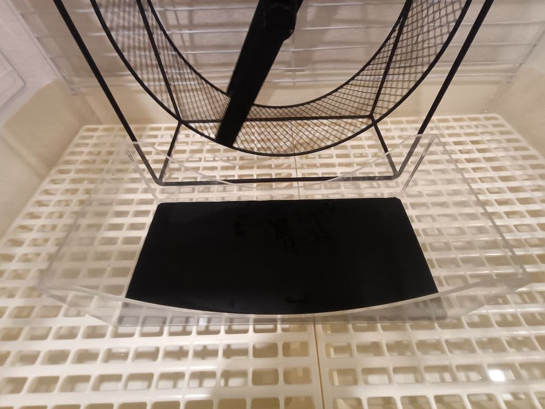 ホワイトケージ ブラック回し車付き