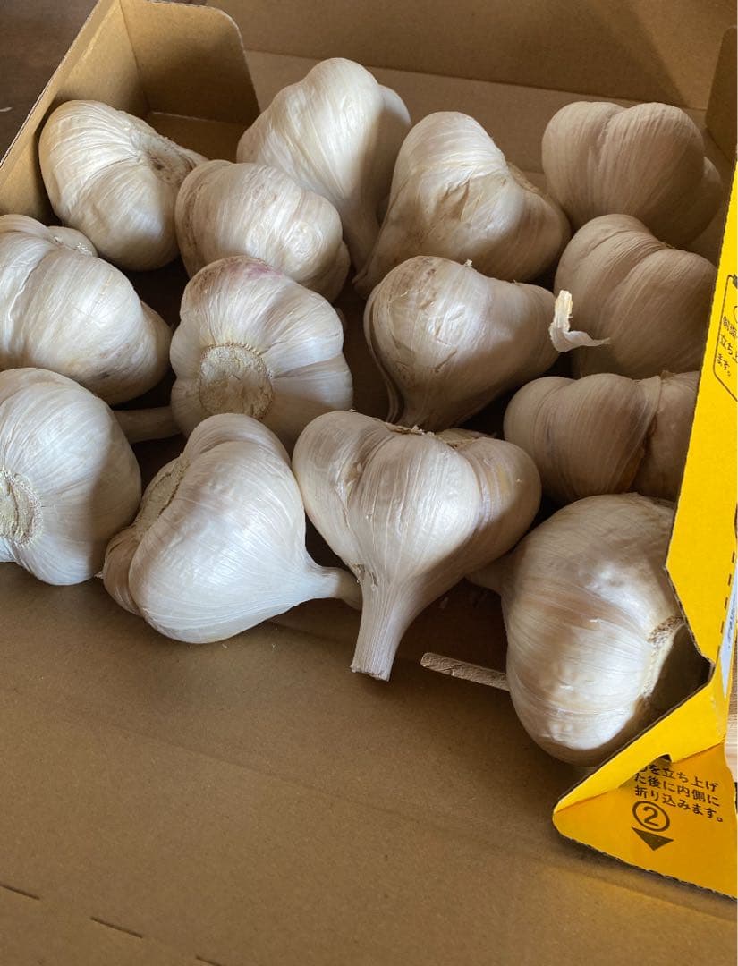 新物　青森県にんにく5キロＬ