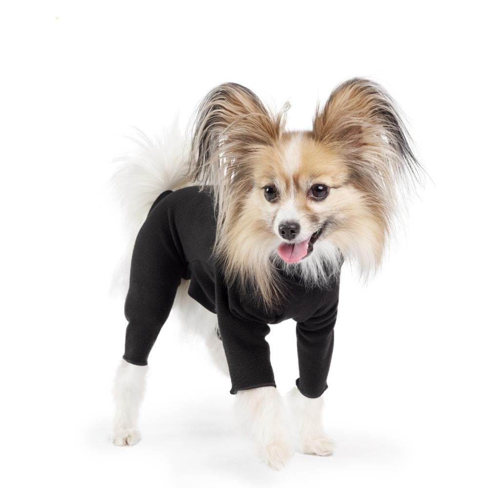 PERO　ワンジー1枚、サンシールド2枚