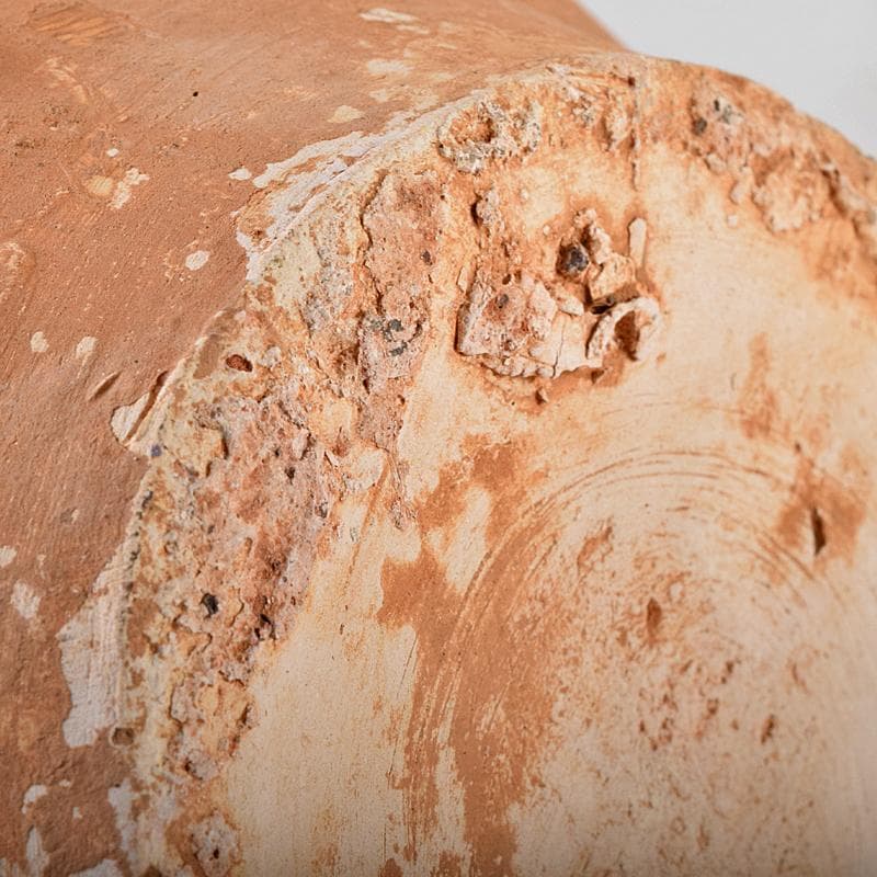 中国　唐三彩　獅子摘　双耳壷　C　R8549B