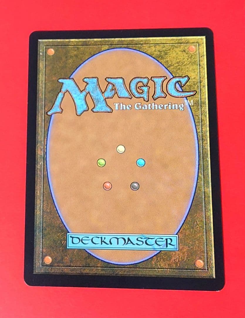 MTG 吹きさらしの荒野 Foil フォイル 英語版