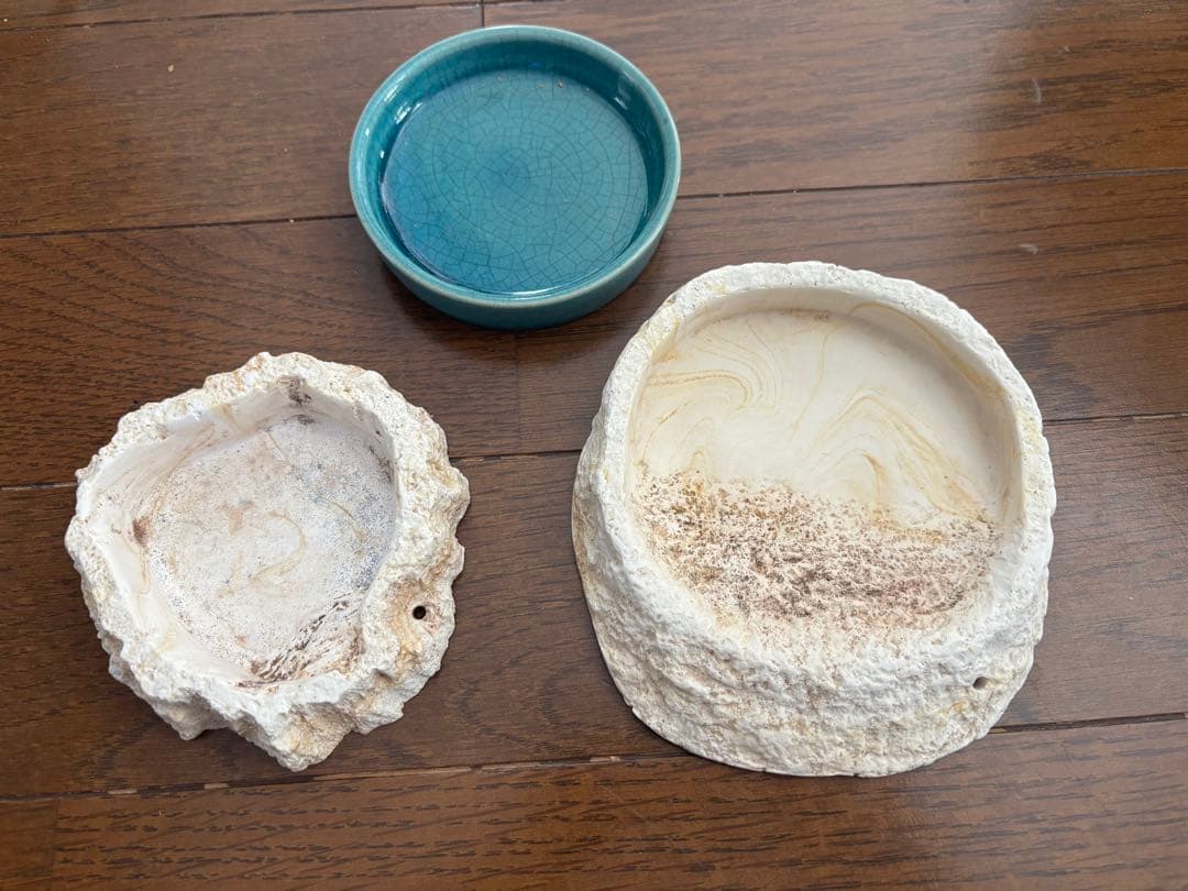 ガラス製飼育ケージと付属品一式