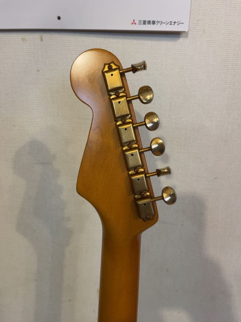 P-Project PST-1V ★VANZANDTピックアップ