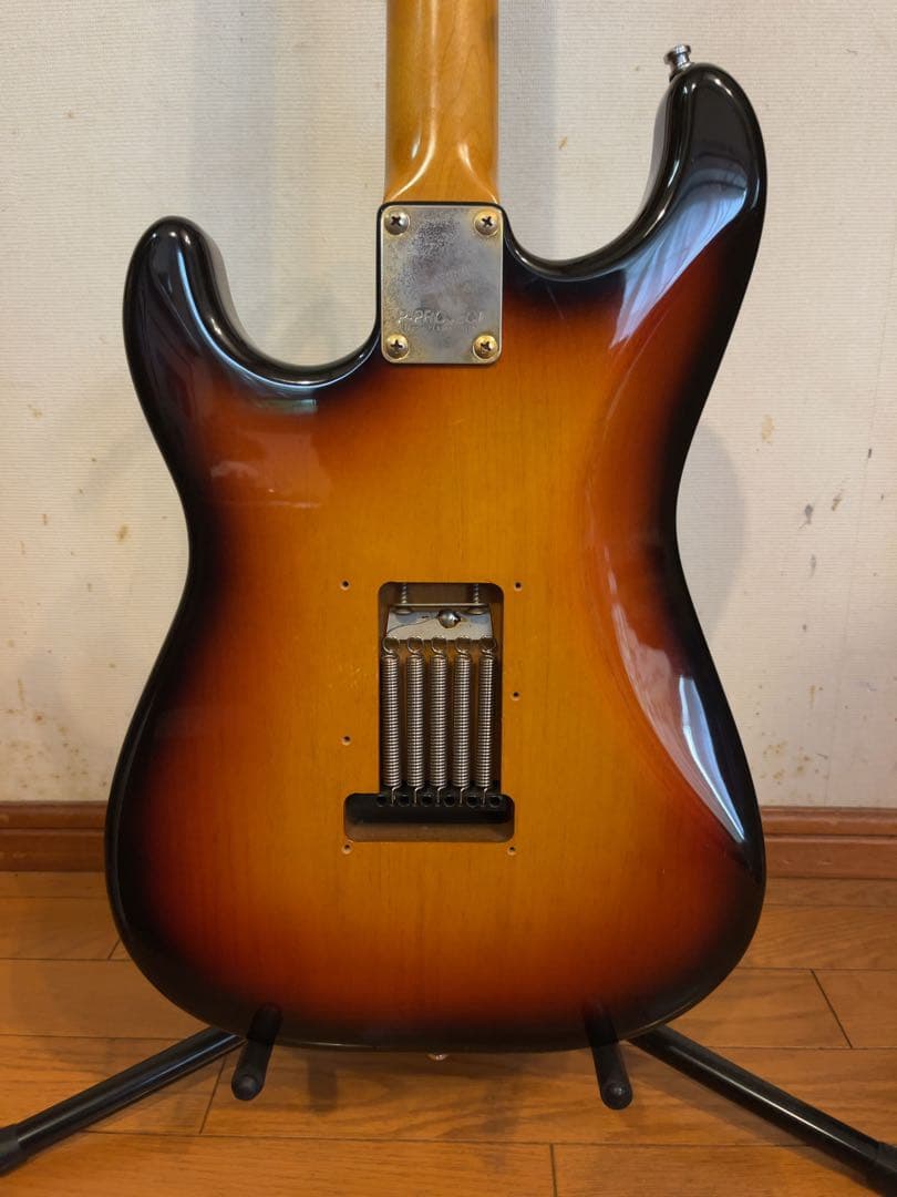 P-Project PST-1V ★VANZANDTピックアップ