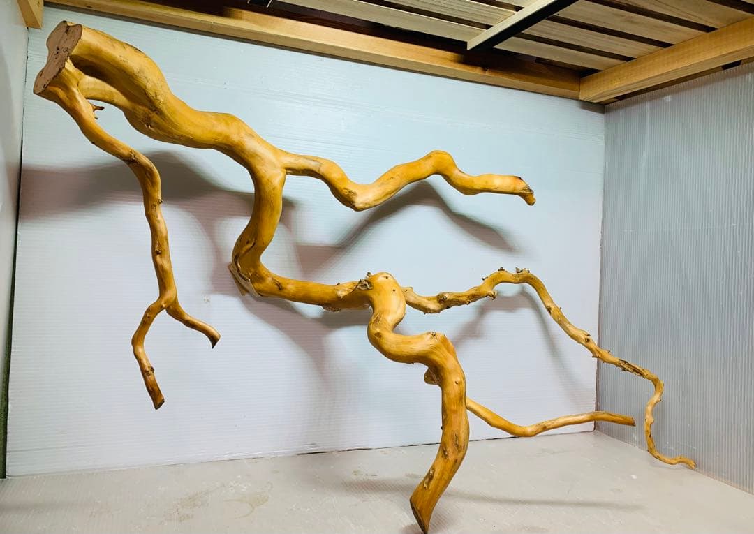 水槽用流木レイアウト　水槽。流木　。水生植物。流木 アクアリウム 盆栽流木