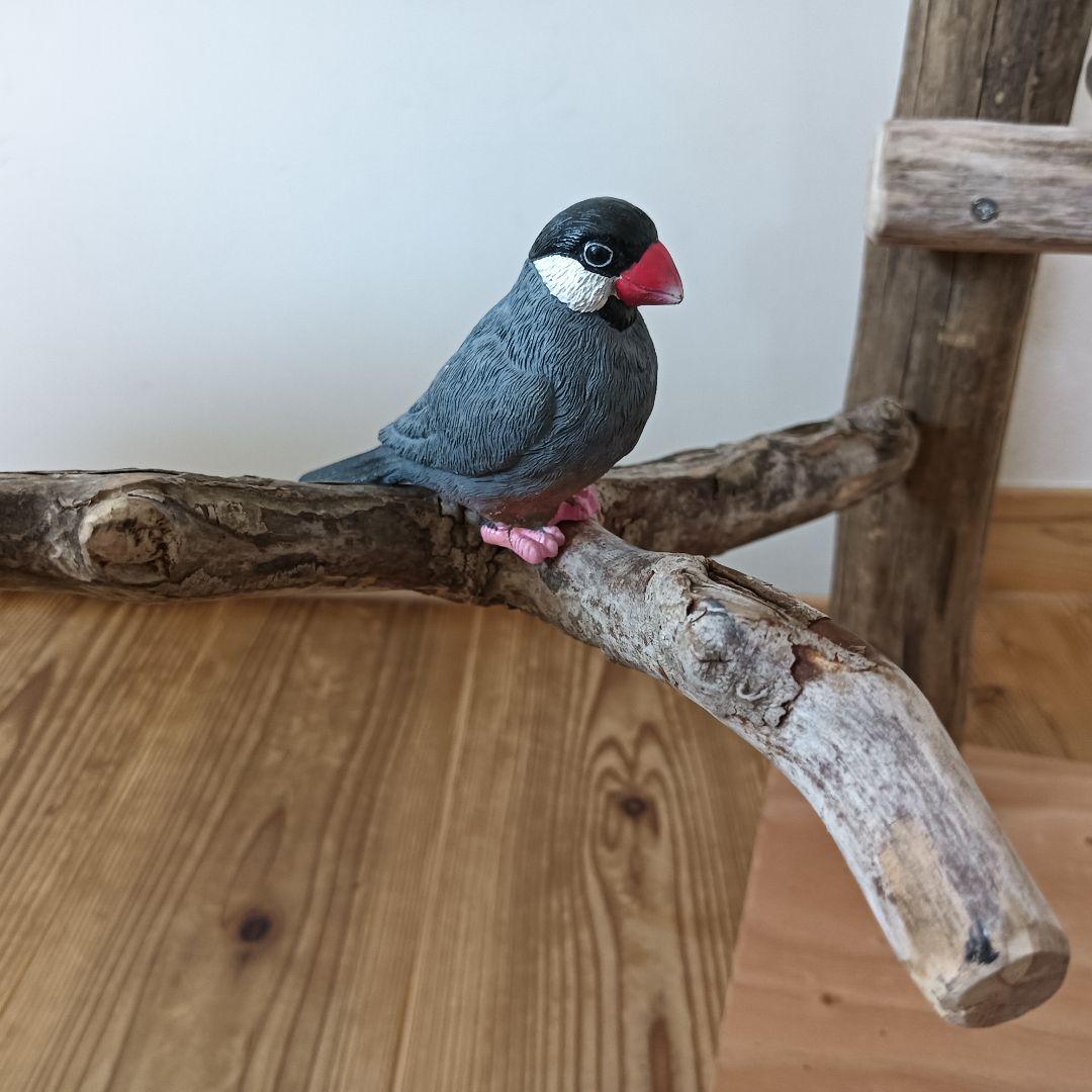 バードアスレチックジム大型 ① 天然木 自然木 流木 インコ おもちゃ