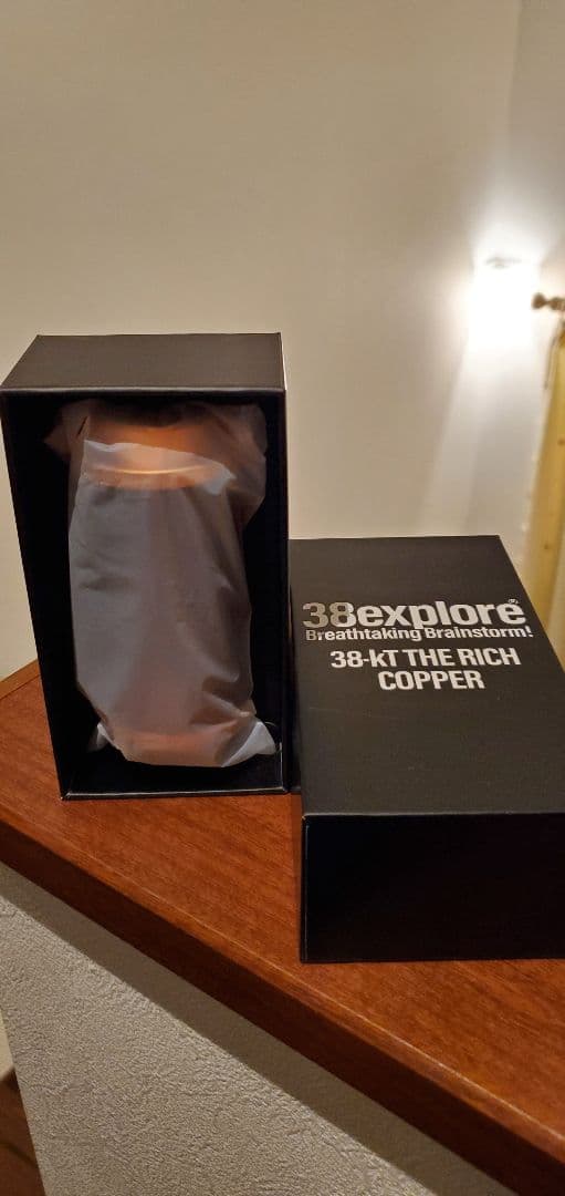 【新品未使用・限定】ネルデザインワークス 38灯リッチ molds 銅