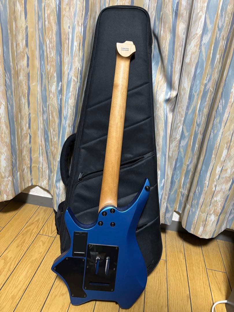 ギター HEX Guitars N500
