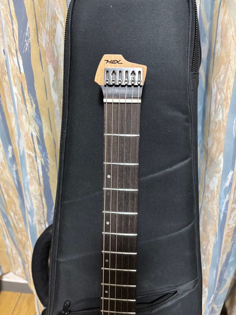 ギター HEX Guitars N500