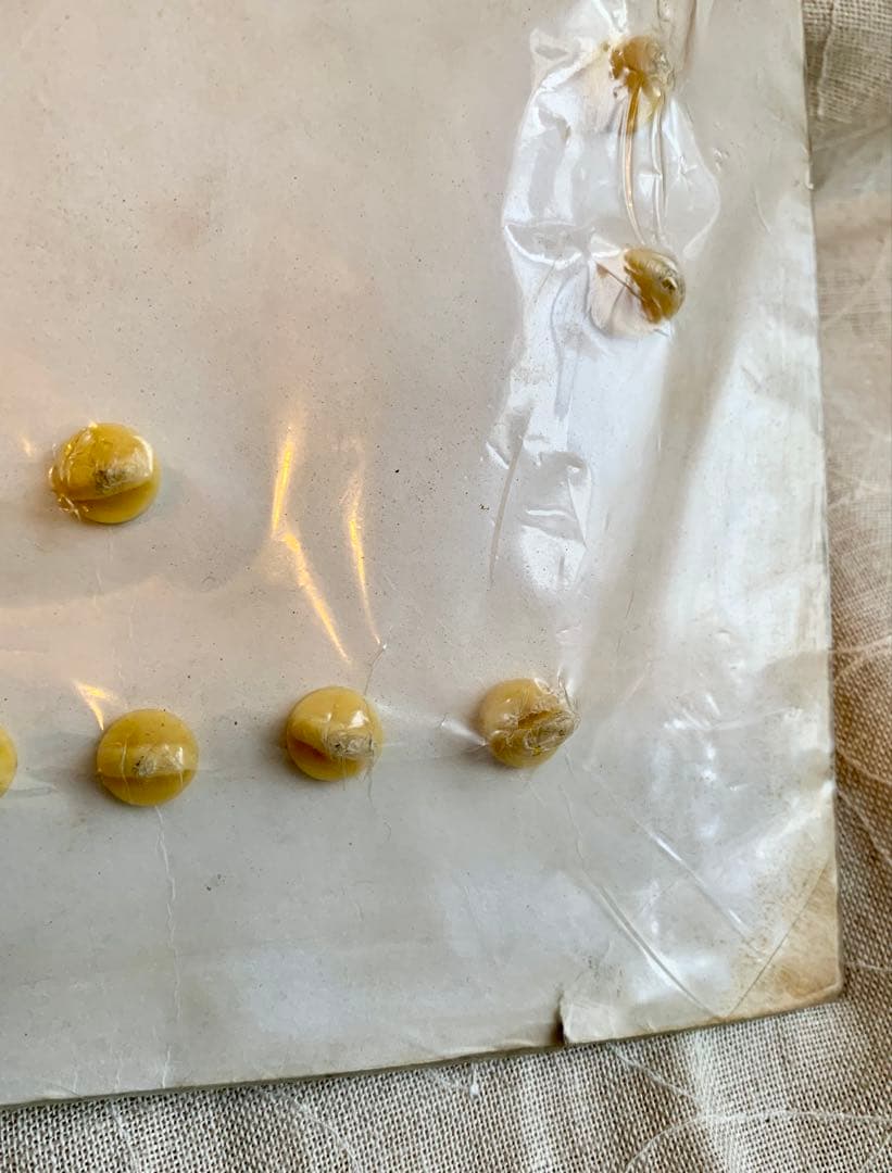 アメリカ軍ベトナム派遣部隊ピンバッジ