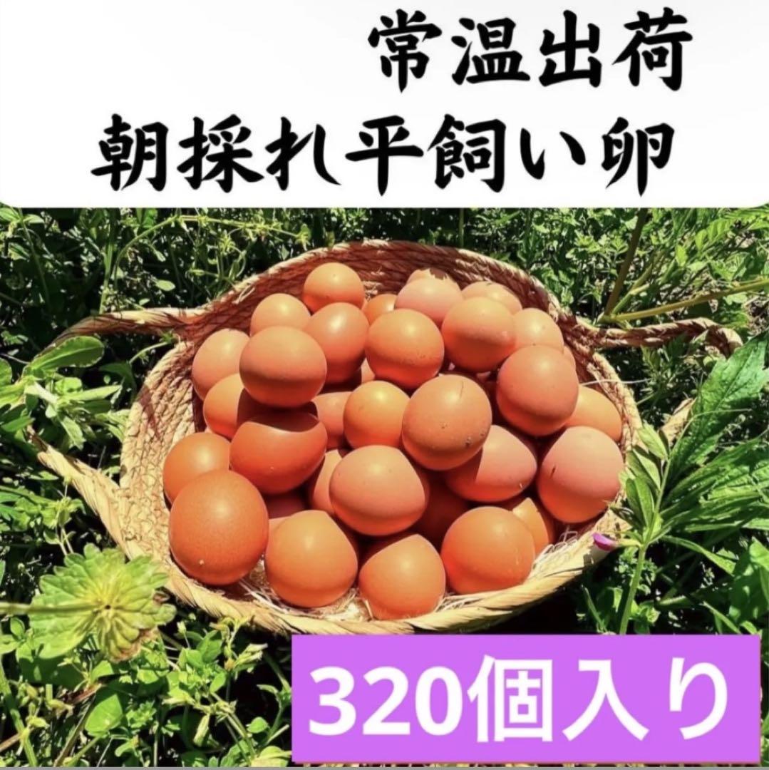 平飼い鶏卵 320個入り 大分県佐伯市産