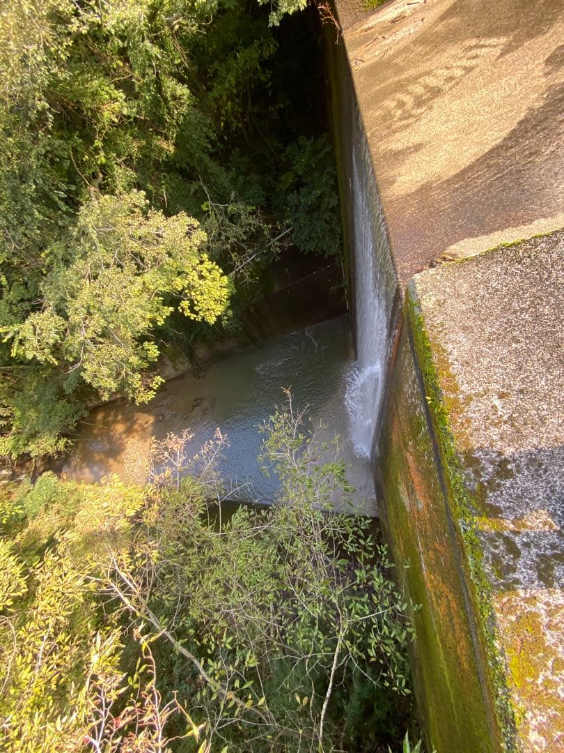 はちみつ　日本蜜蜂のハチミツ　奥山の奥の蜂蜜　国産蜂蜜愛媛産