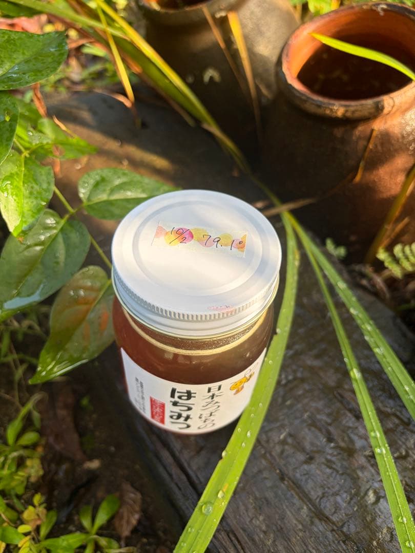 はちみつ　日本蜜蜂のハチミツ　奥山の奥の蜂蜜　国産蜂蜜愛媛産