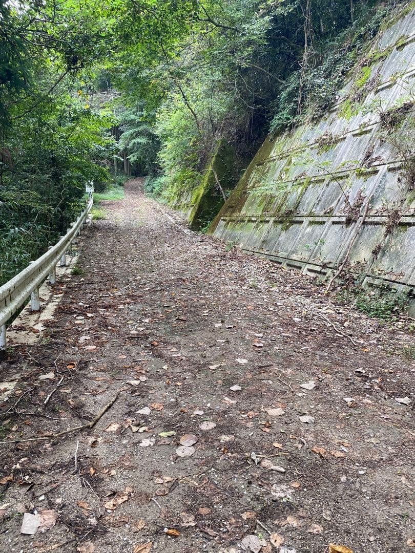 はちみつ　日本蜜蜂のハチミツ　奥山の奥の蜂蜜　国産蜂蜜愛媛産