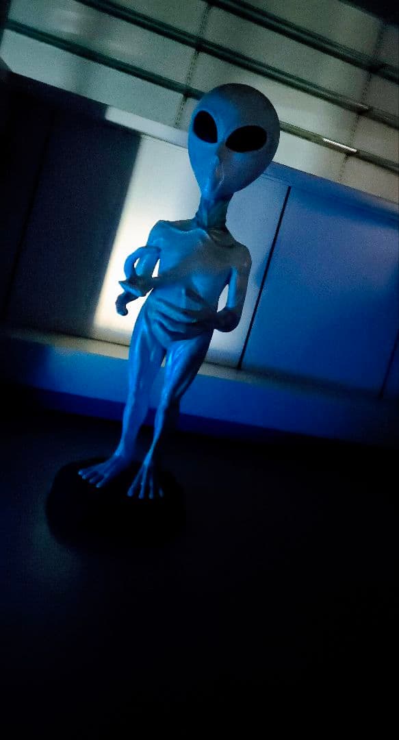 その他 Grey type Alien figure modeled object