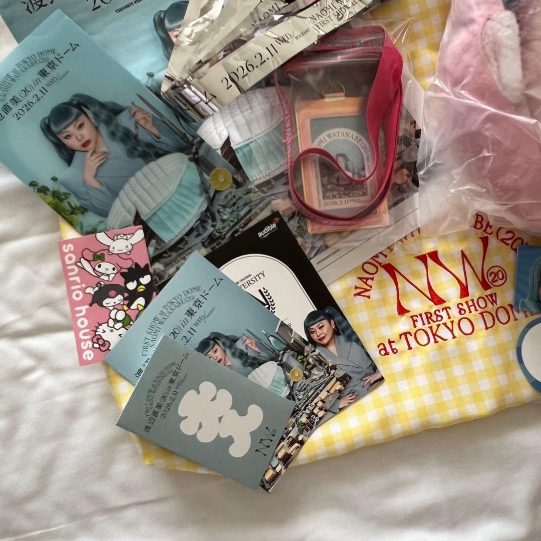 【美品】渡辺直美20東京ドーム うにょ席 限定 非売品 コラボ チケットファイル