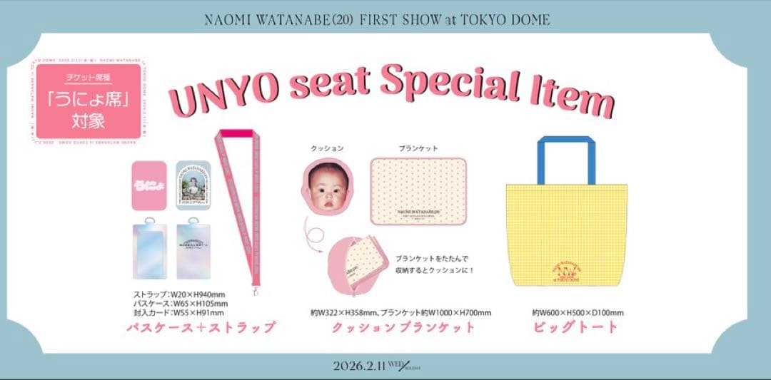 【美品】渡辺直美20東京ドーム うにょ席 限定 非売品 コラボ チケットファイル