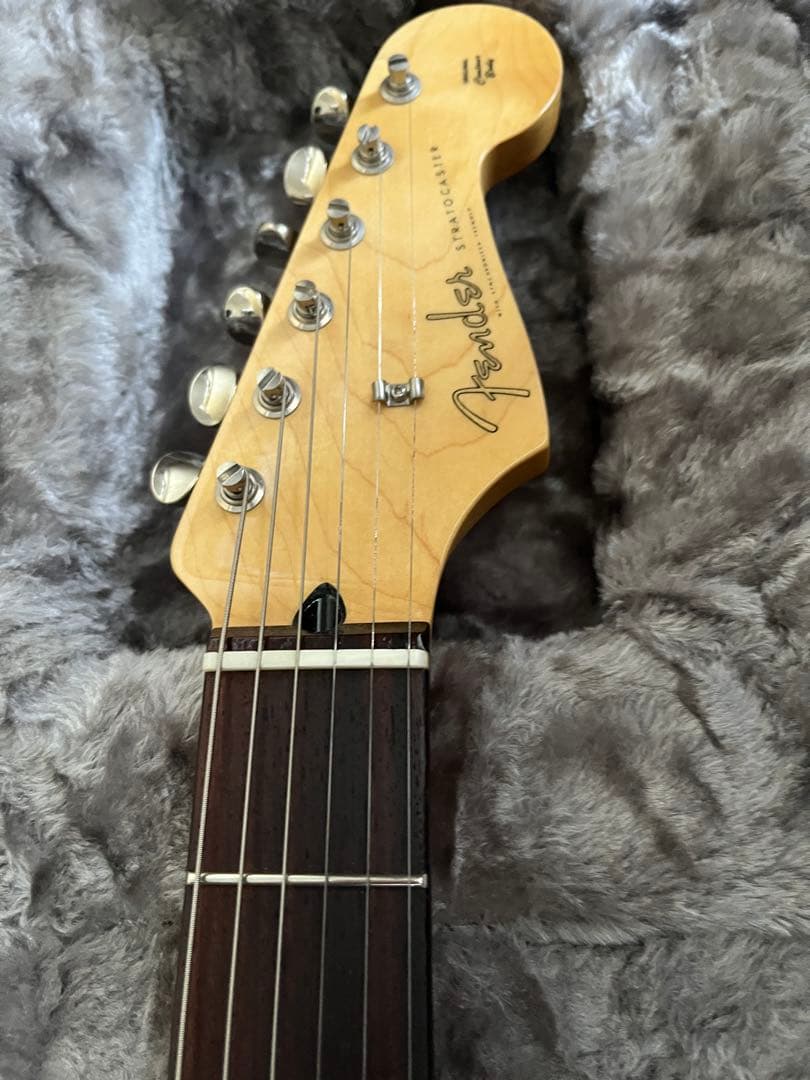 Mister様　Fender Limited Collection