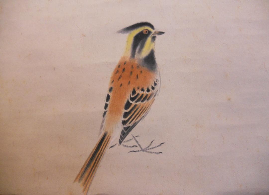 掛け軸 森守明 春暖 紙本 希少 軸装 茶道具 掛軸 です。