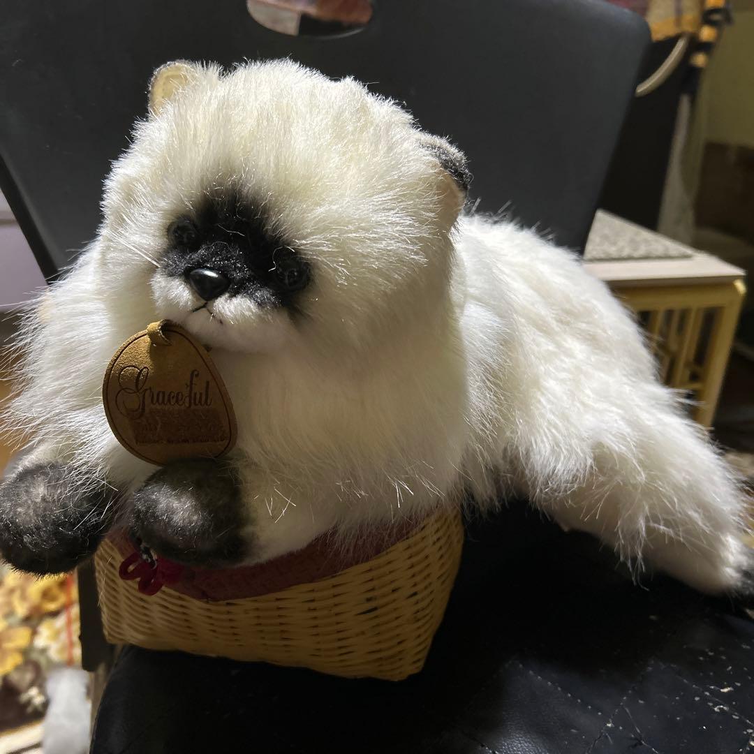 doorzo様❗️猫　ヒマラヤン　三英❣️