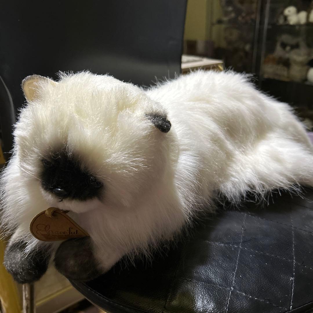 doorzo様❗️猫　ヒマラヤン　三英❣️