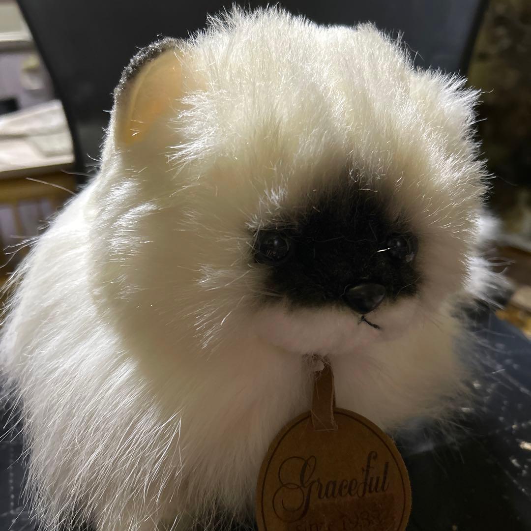 doorzo様❗️猫　ヒマラヤン　三英❣️