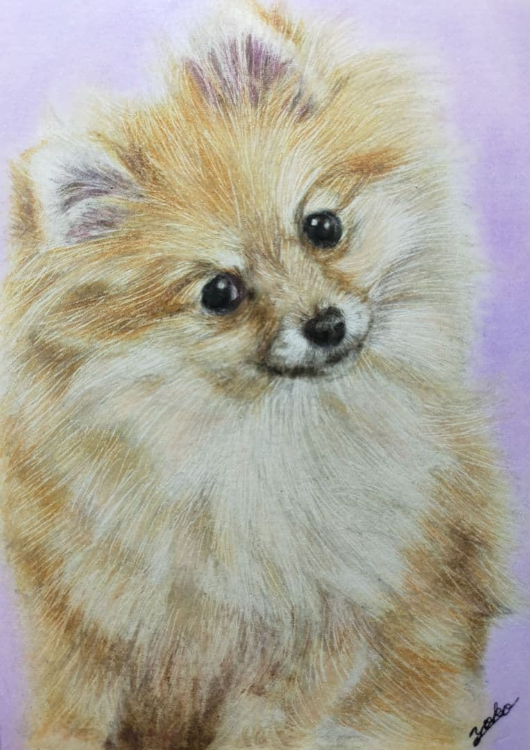 専用　色鉛筆画　絵画　原画　イラスト　ペット　似顔絵　オーダーページです