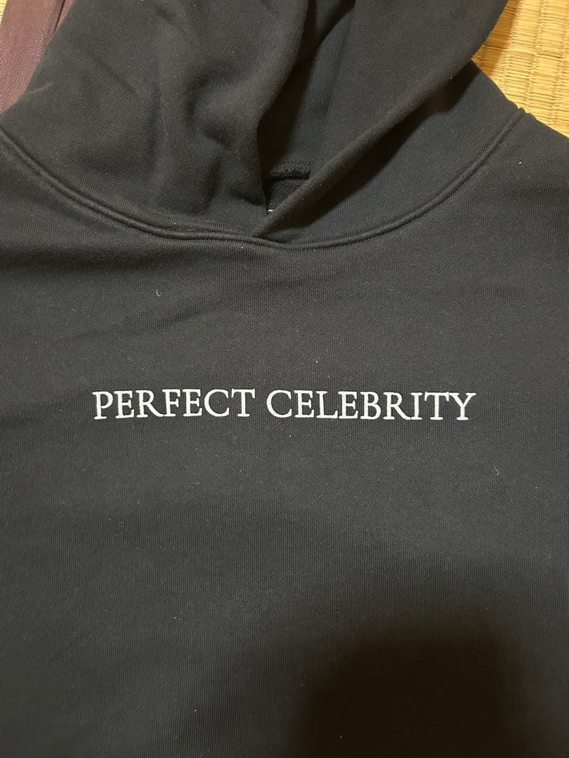 LADYGAGA フーディ