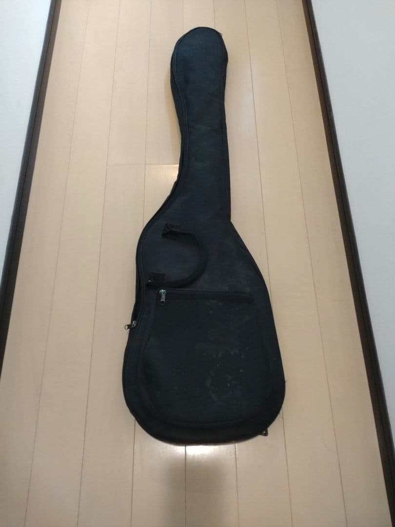 FERNANDES ハードケースとソフトケース付き