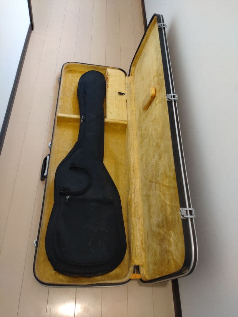 FERNANDES ハードケースとソフトケース付き