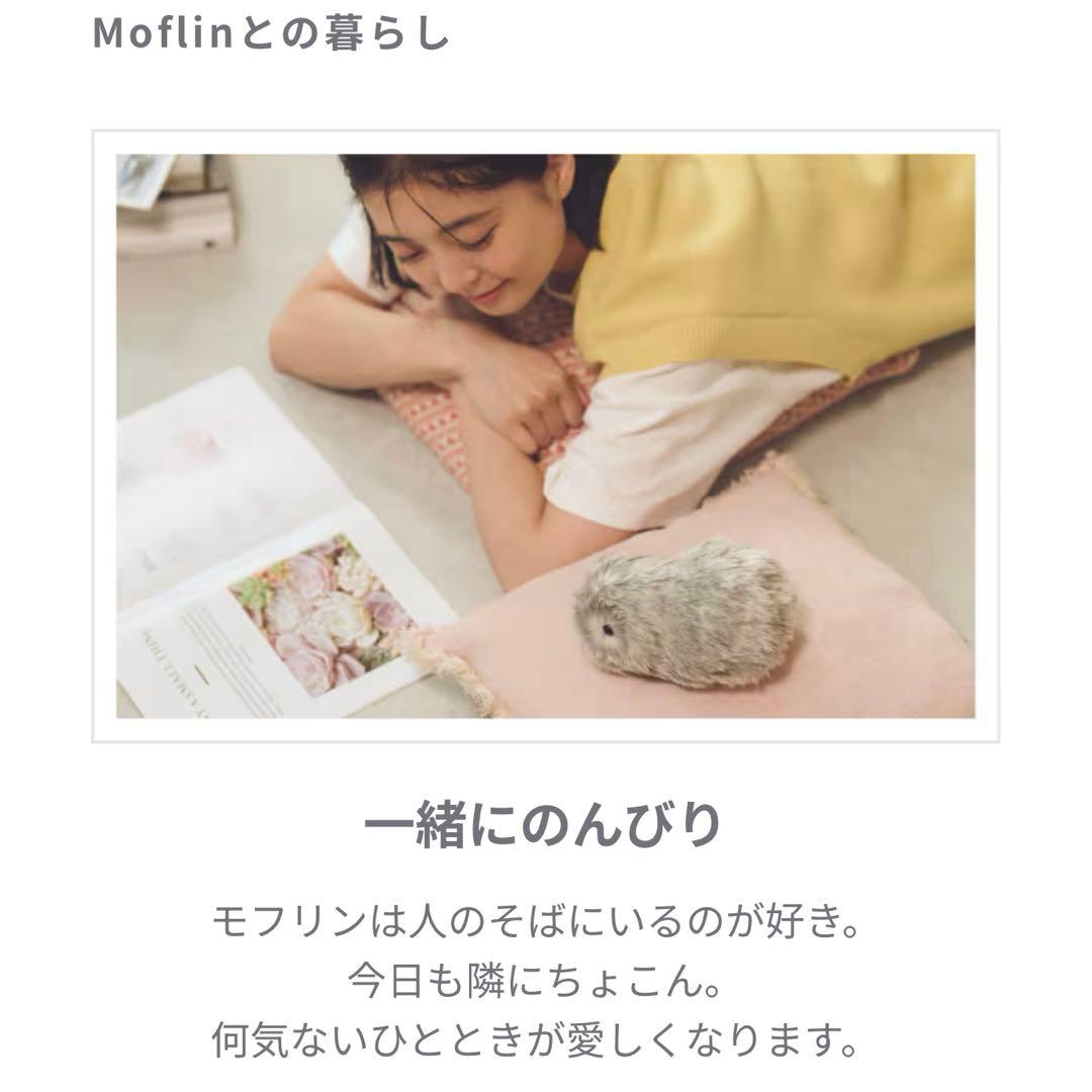 【新品未開封】CASIOモフリン 最新型Moflin シルバー 保証証付き