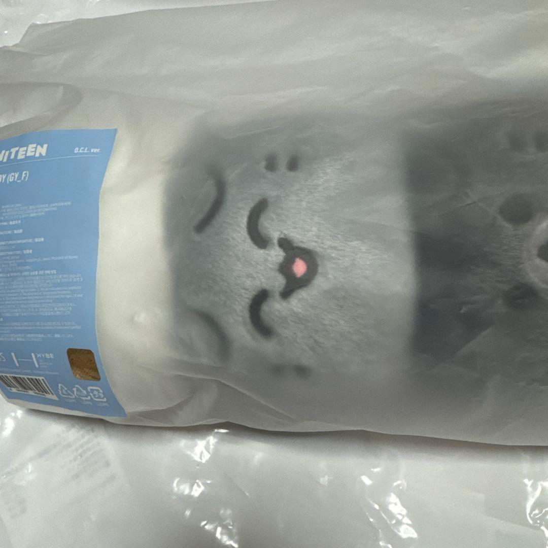 SEVENTEEN MINITEEN ジュン６点