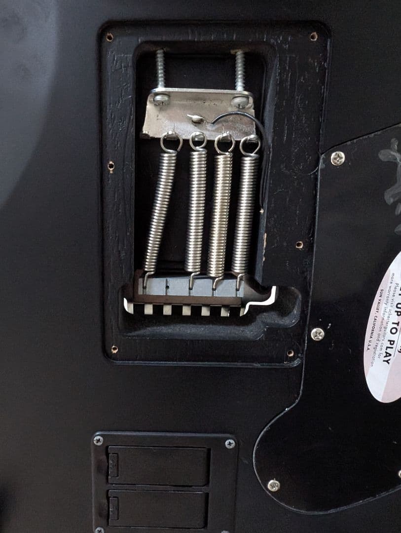 外装美品　SCHECTER Damien Platinum-6　シェクター