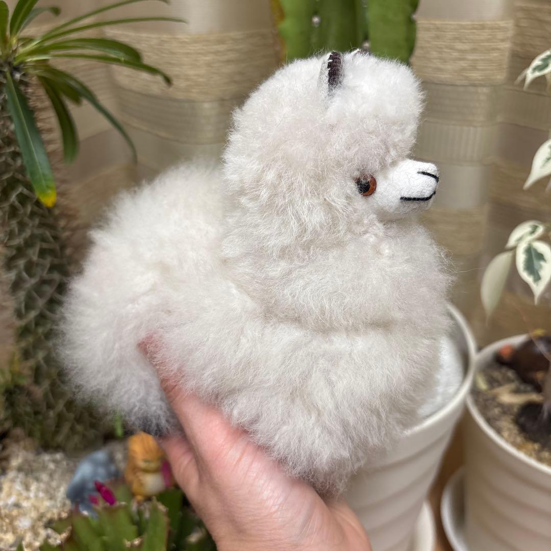 アルパカフェア　アルパカぬいぐるみ