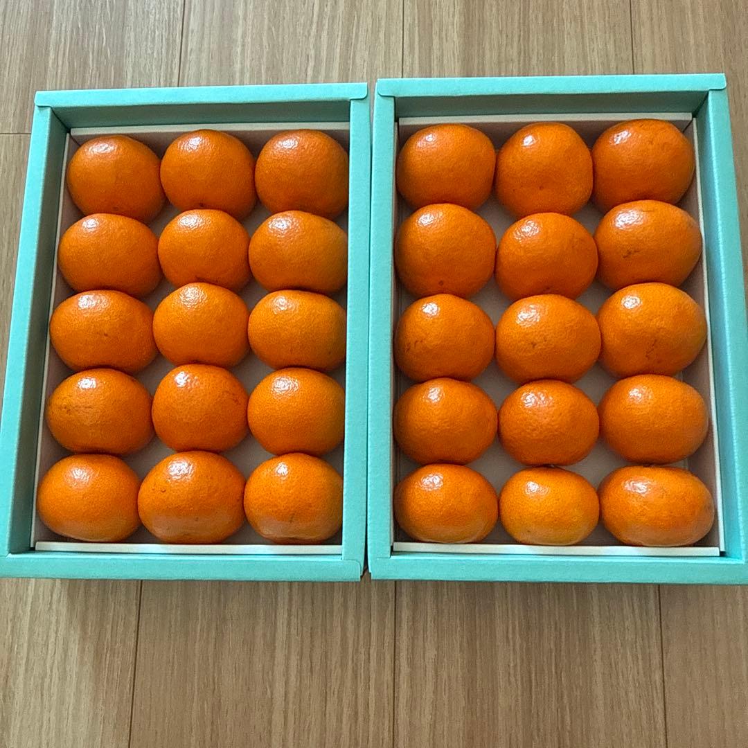 rippy即日発送銀座千疋屋ミカン30個 15✖️2箱入12月10日作成定価