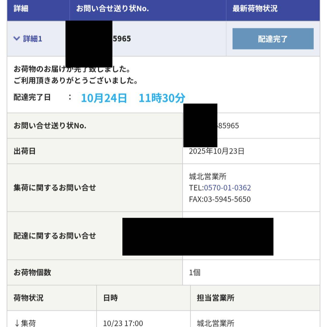 正規品　新品 ラブブ　THE MONSTERS Big into Energy