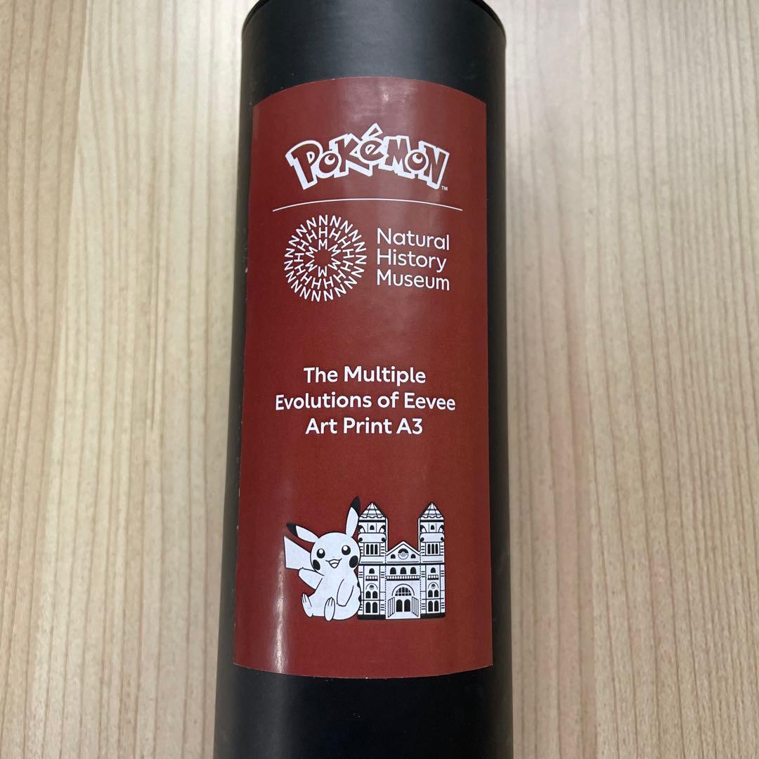 【希少新品】ポケモン30周年ロンドン自然史博物館コラボA3ポスターイーブイ