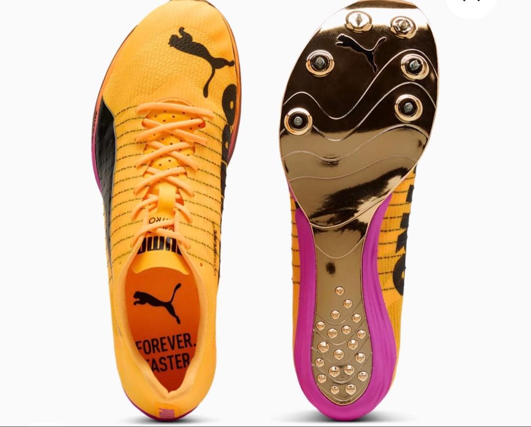 エヴォスピードフォルテニトロエリート evoSpeed Forte Nitro