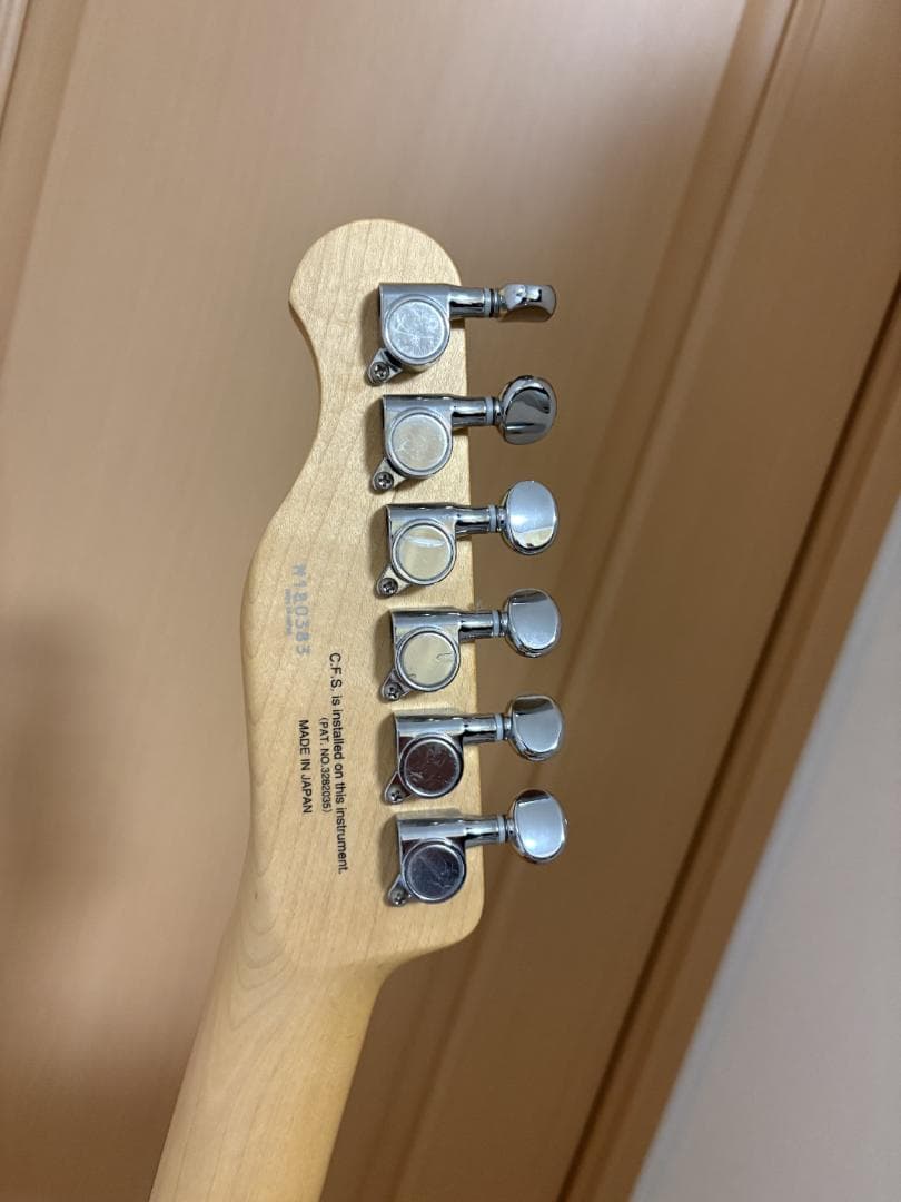 bridge9 FgN(フジゲン)JTL 6Rテレキャスタータイプ