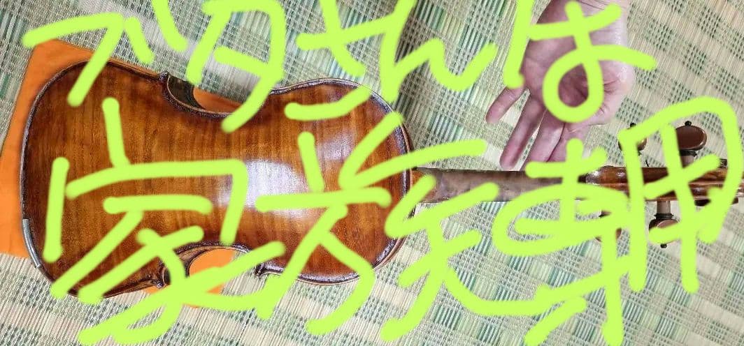 (エンリスク チェルティー 裏板のみ制作)のバイオリン