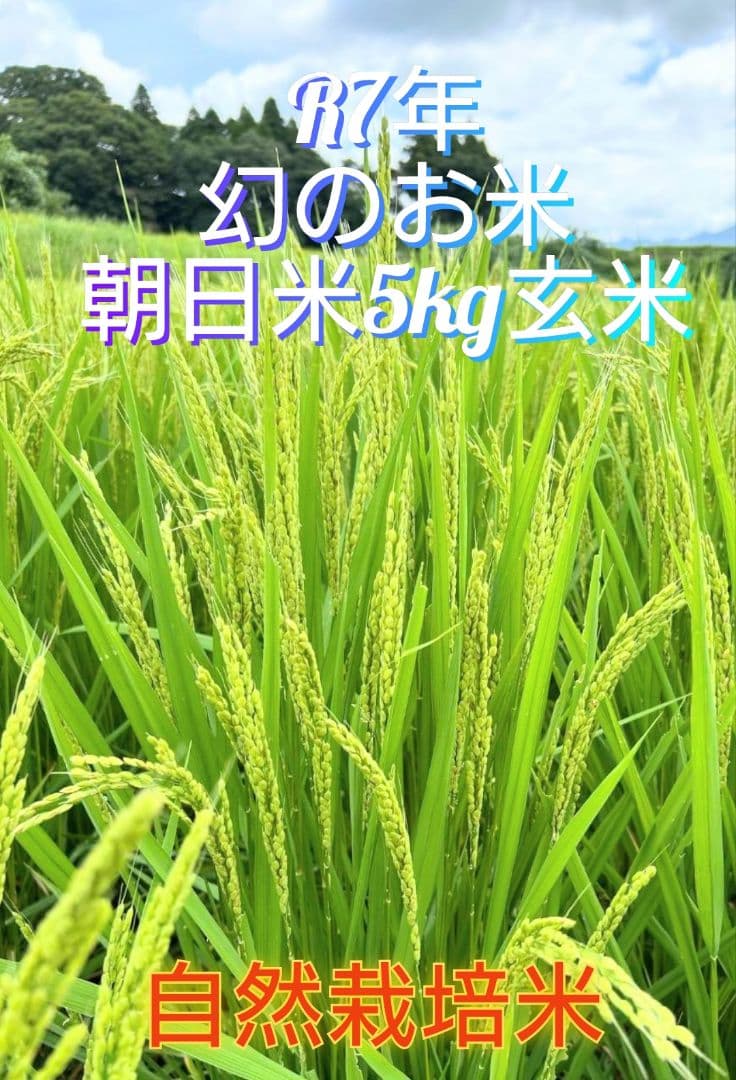 1 R7年 自然栽培米 2品種食べ比べセット10kg（5kg×2）玄米 セット