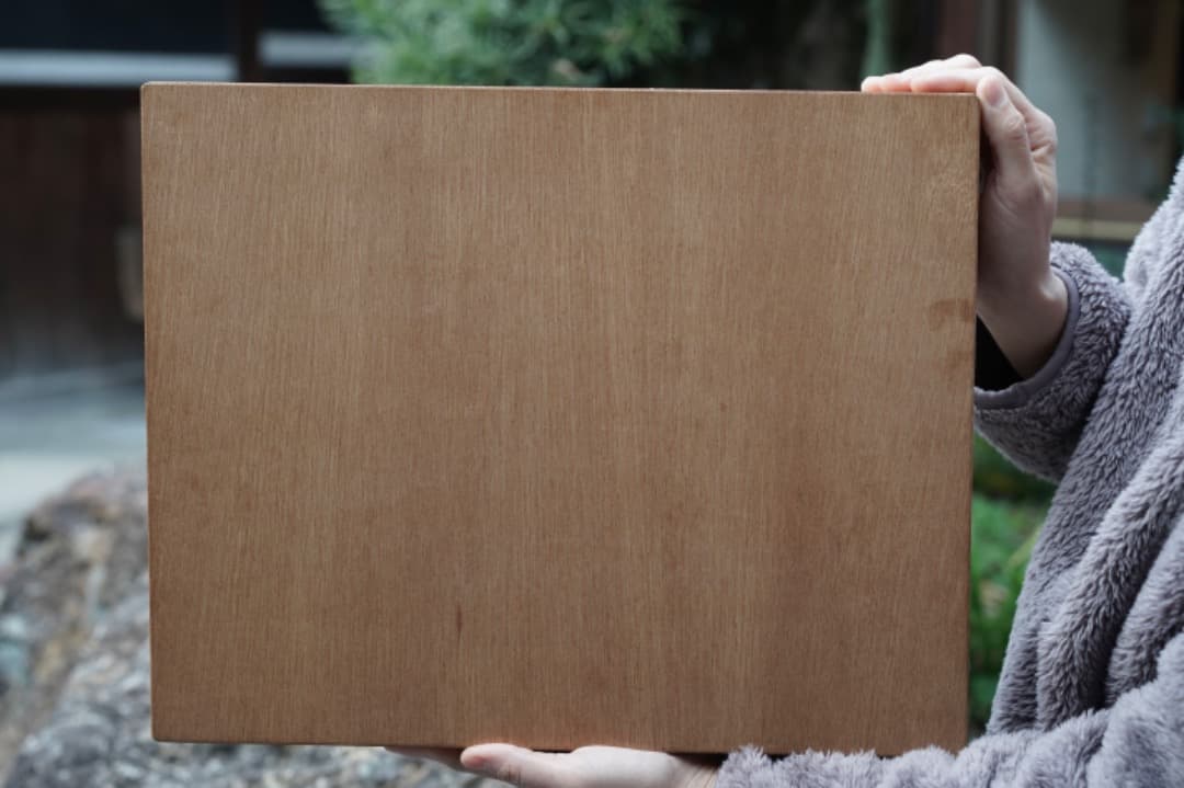 蝶と昆虫の標本