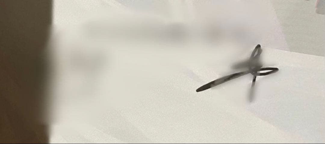 50ヰ世界情緒　anima3 ライブパンフレット　直筆サイン入り