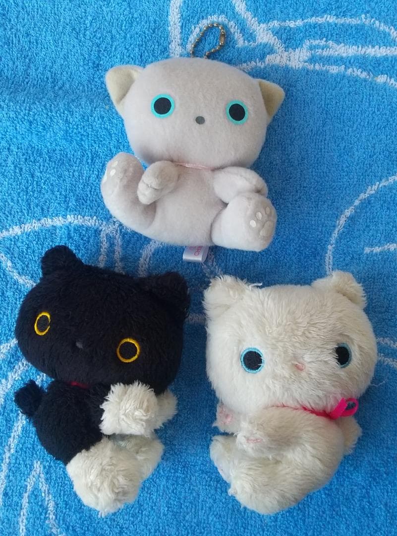 みかんぼうや　靴下にゃんこ　こげぱん　たれぱんだ　ぬいぐるみ　マスコット