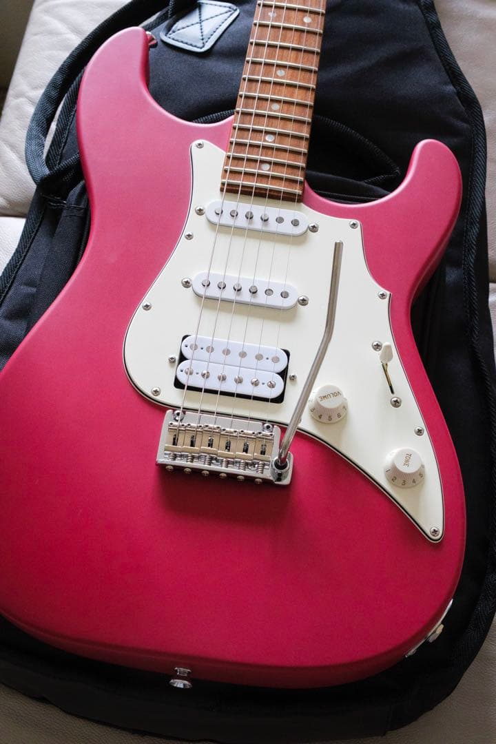 SAITO GUITARS【SR-22】