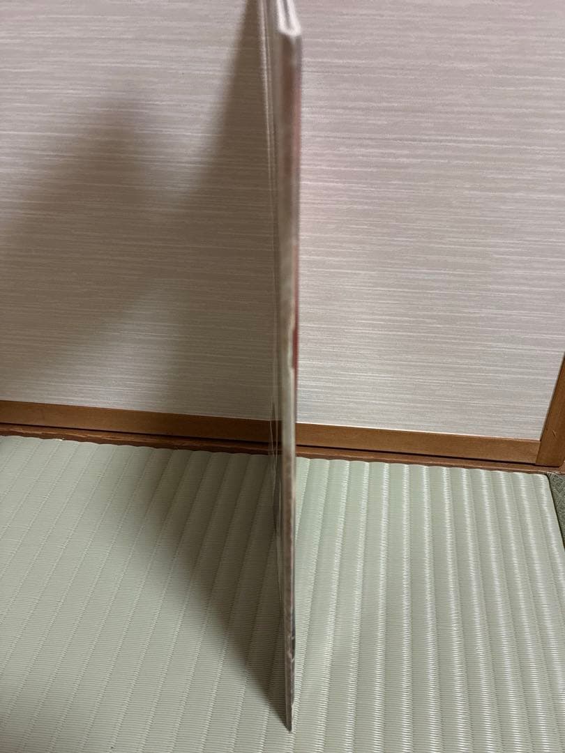 Bruce Lee Mania 2　(スペイン版）美品｜限定版　ブルース・リー