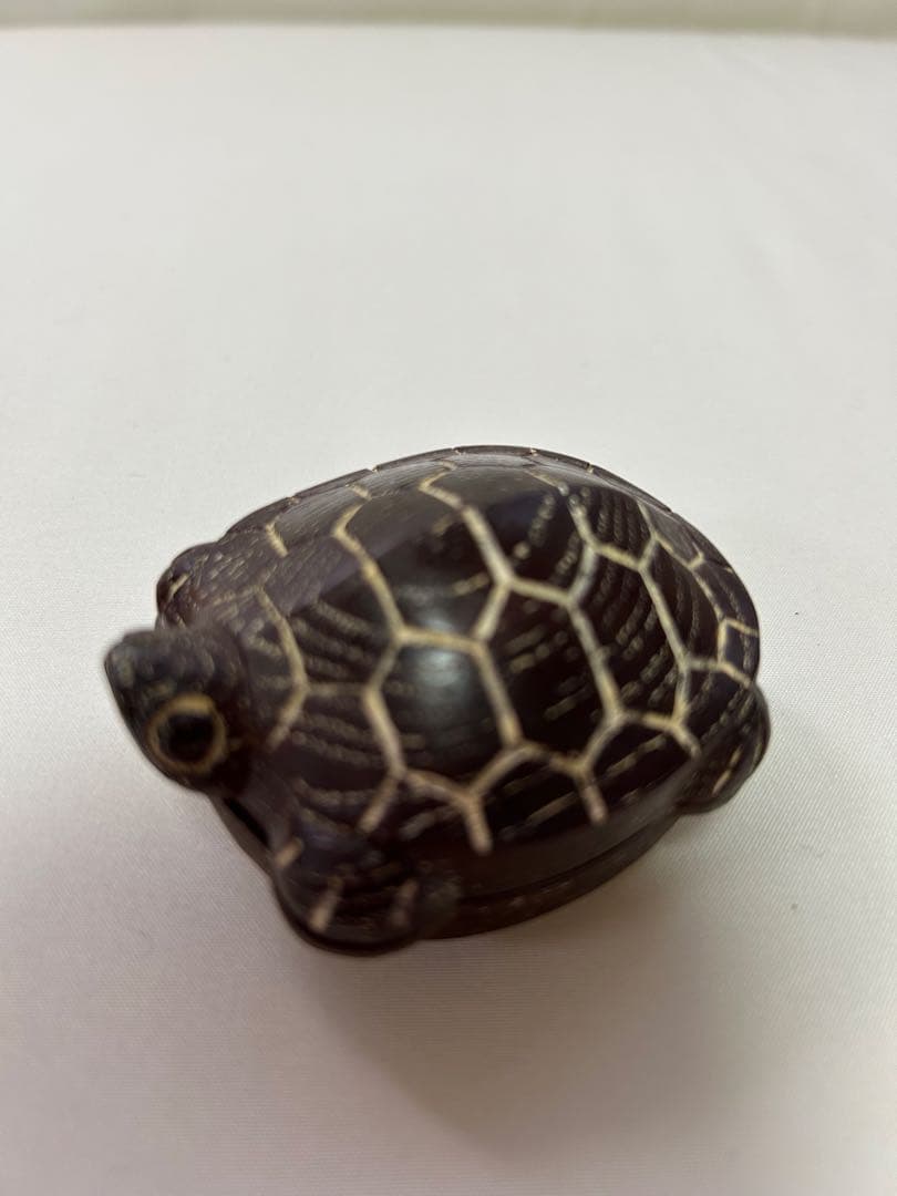 茶道具【香合】　亀　岩倉隆斎（隆弘峯）　共箱付き