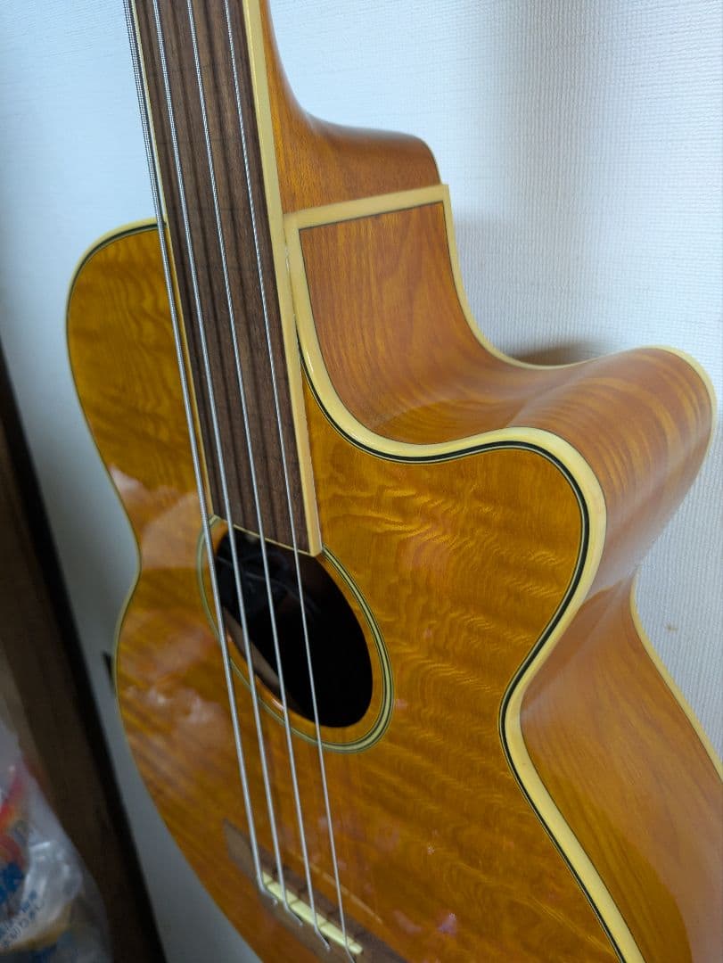 ZENN アコースティックベース フレットレスZB22CE-FL　ソフトケース付