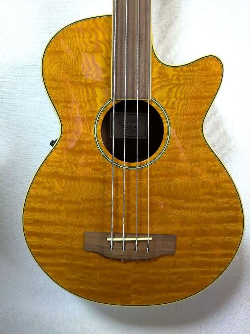 ZENN アコースティックベース フレットレスZB22CE-FL　ソフトケース付